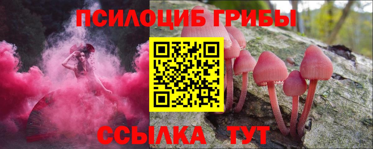 Псилоцибиновые грибы ЛСД Губаха